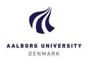 Logo Aalborg University